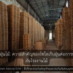 ปัญหาฝุ่นไม้: ความสำคัญของไซโลเก็บฝุ่นต่อการประกันภัยโรงงานไม้