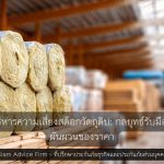 การบริหารความเสี่ยงสต็อกวัตถุดิบ: กลยุทธ์รับมือความผันผวนของราคา
